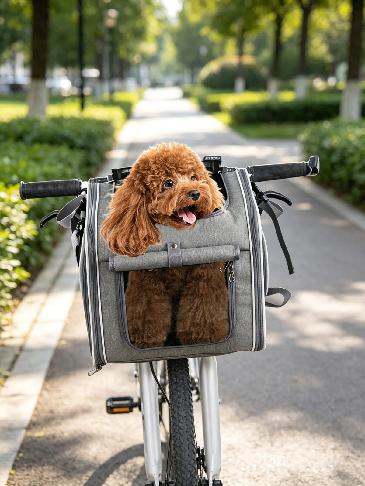 Foldable Mesh Pet Carrier for Cats & Small Dogs