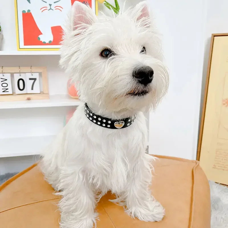 Rhinestone Heart Pet Collar