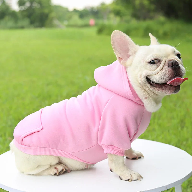 Manteau à capuche en polaire pour chien | Veste sweat chaude d'automne et d'hiver pour petits chiens et chats