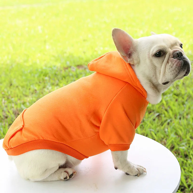 Manteau à capuche en polaire pour chien | Veste sweat chaude d'automne et d'hiver pour petits chiens et chats