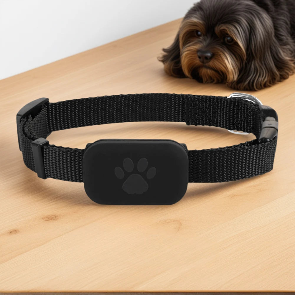 Wearable Pet Locator with Adjustable Silicone Collar for Dogs & Cats