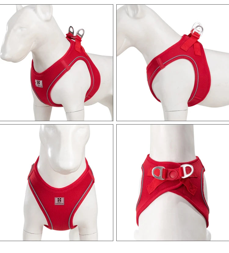 Reflective Dog & Cat Harness with Leash Set