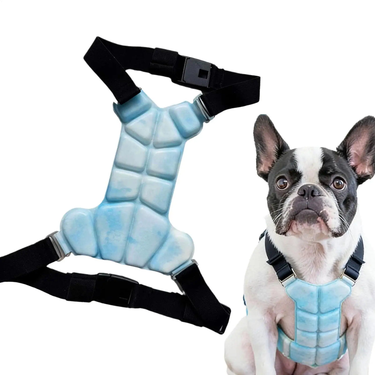Lightweight Dog Cooling Harness Vest for Walking, Camping & Training