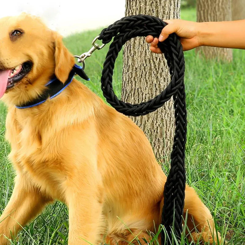 Heavy Duty Nylon Dog Leash & Collar Set - 130cm