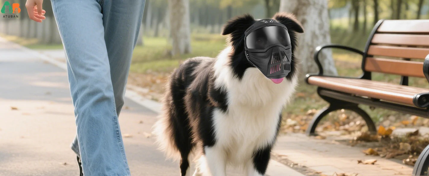 Lunettes pour chien avec écran facial – Masque réglable pour grandes races