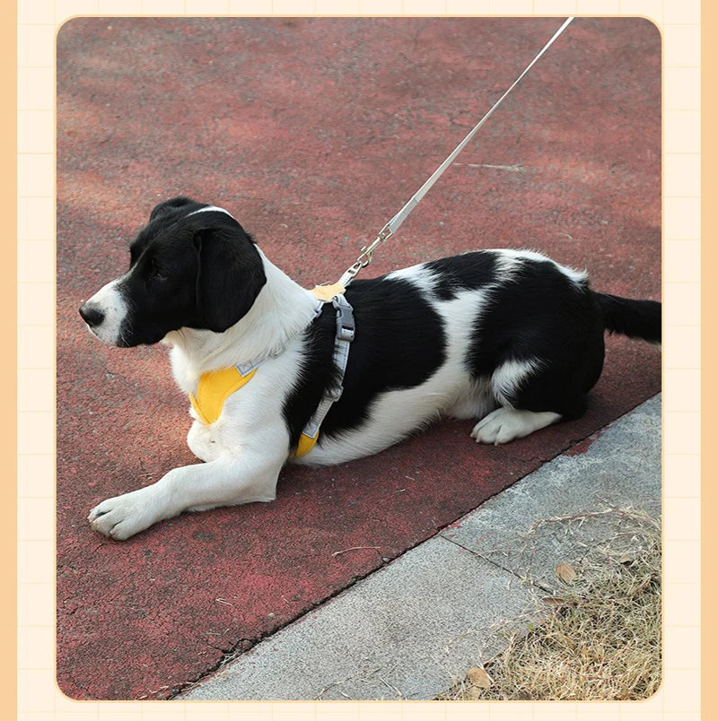 X-Shape Escape-Proof Dog Harness Vest with Leash