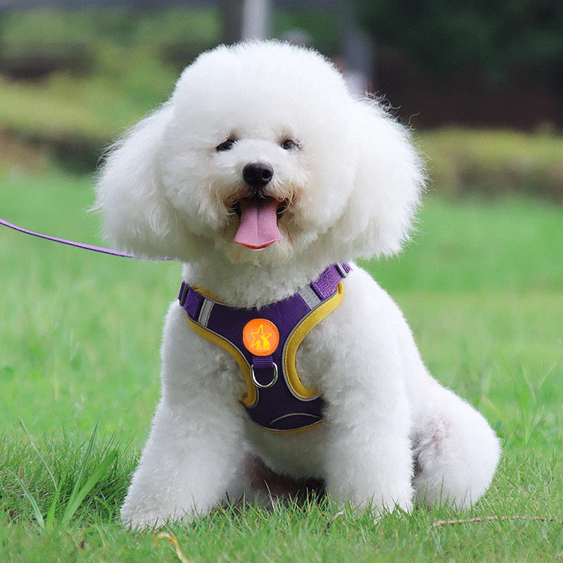 Reflective Soft Mesh Dog Harness with Dual Lead Hooks – No-Pull Vest for Small & Medium Dogs