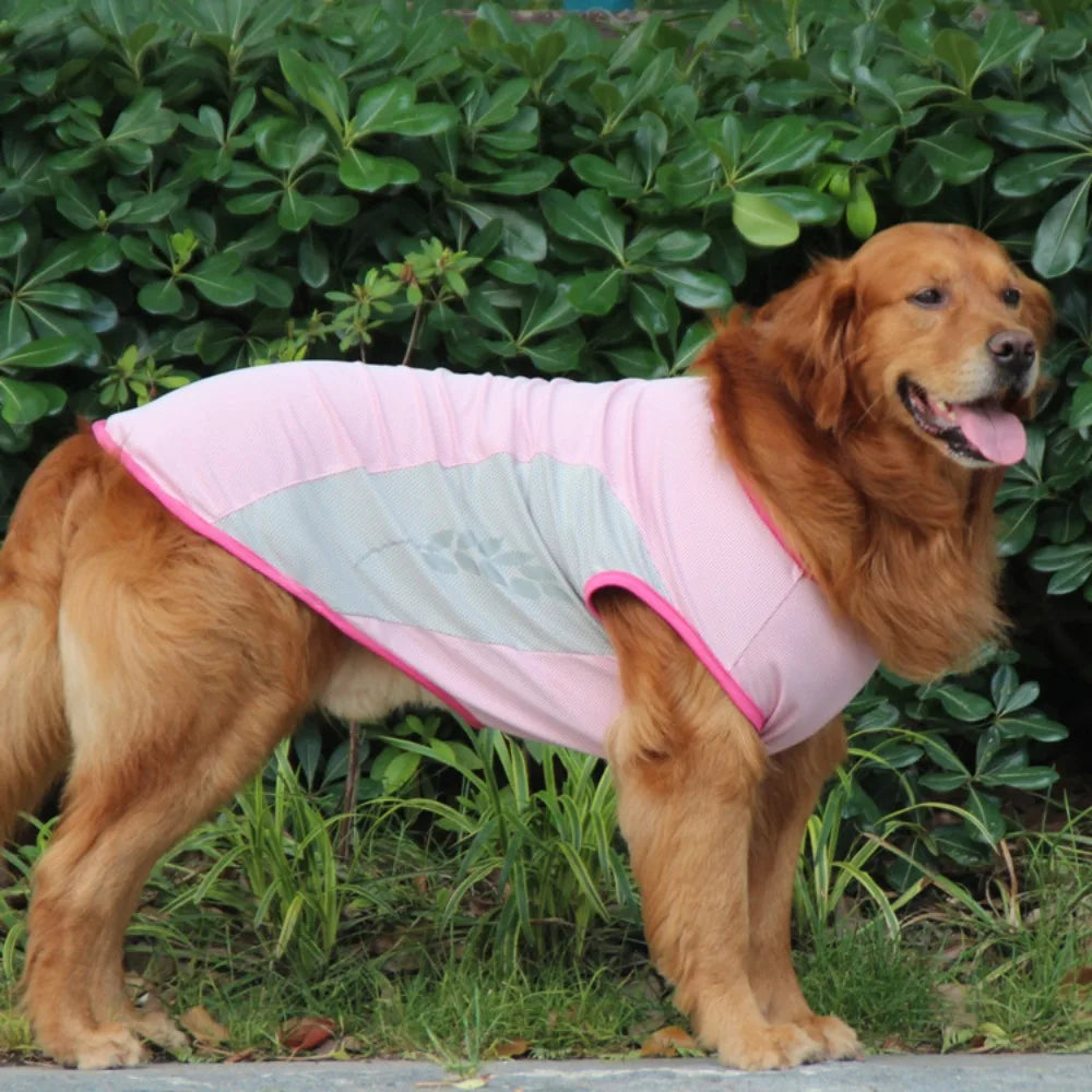 Reflective Cooling Vest for Dogs & Cats