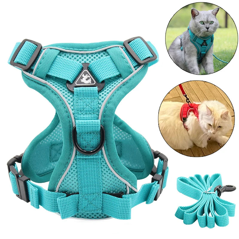 Reflective Mesh Cat & Dog Harness with Leash Set