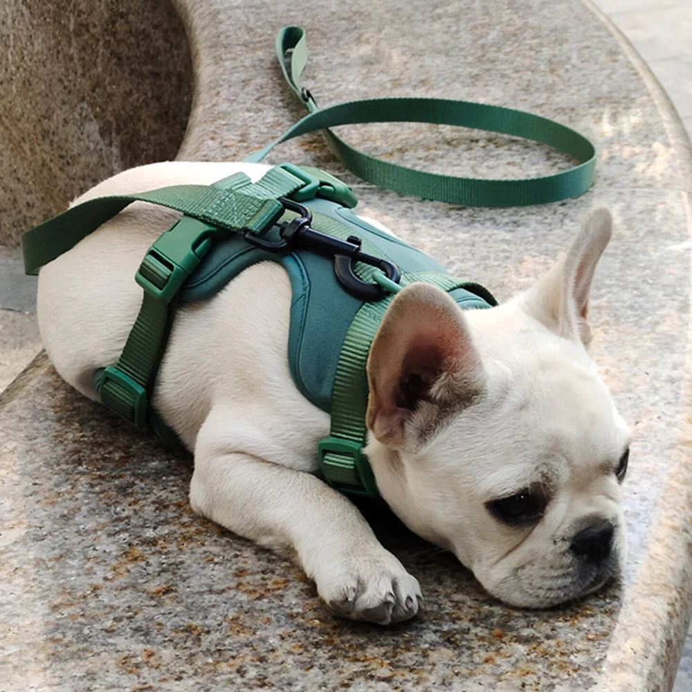 Breathable Adjustable Dog Harness Vest