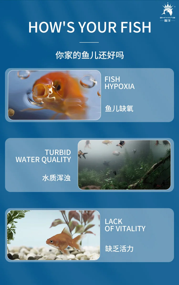 Internal Aquarium Filter with Spray Bar Outlet