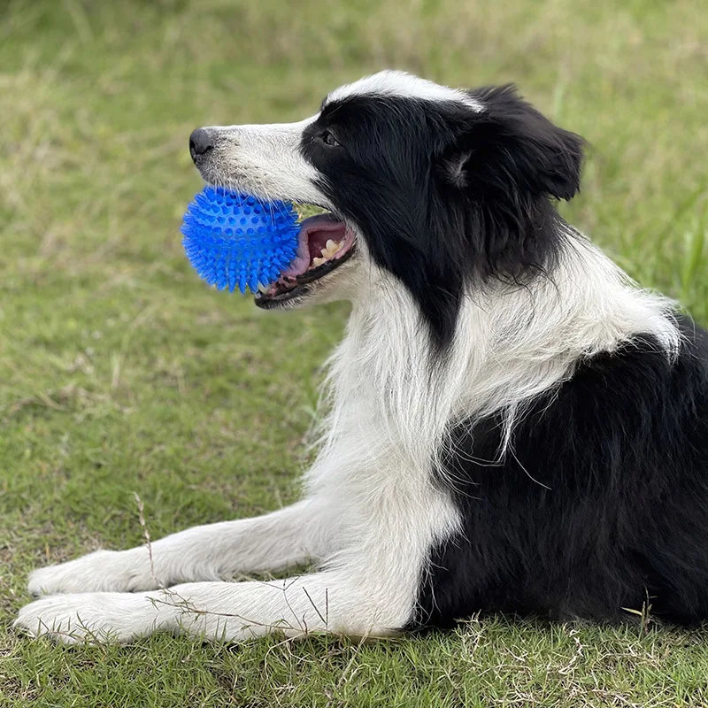 Squeaky Rubber Play Ball for Dogs
