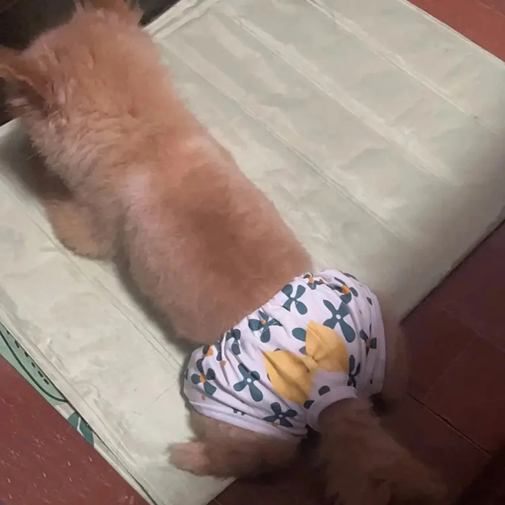 Washable Physiological Pants for Female Dogs & Cats