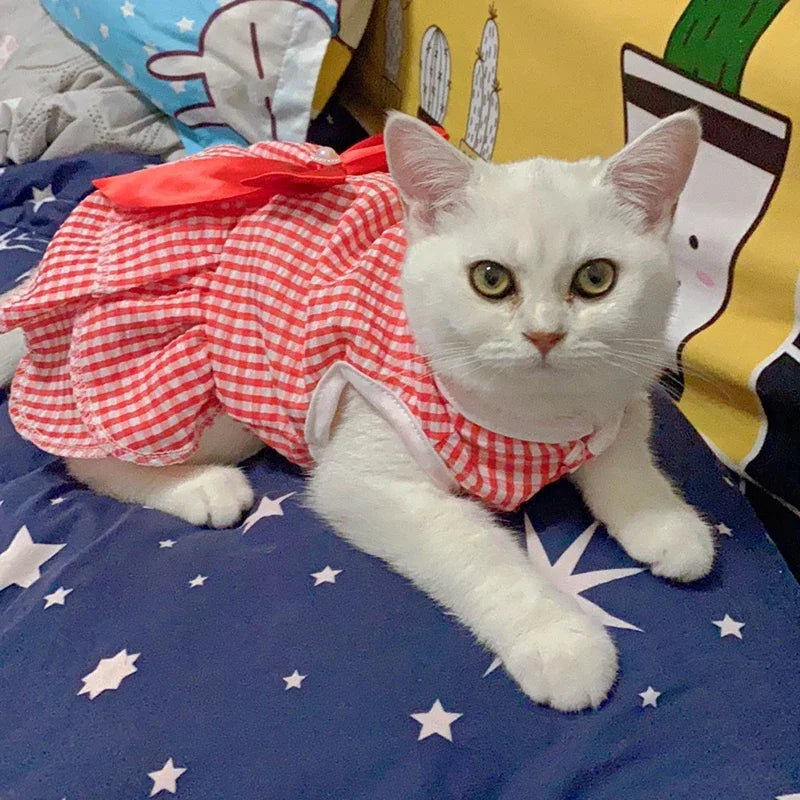 Robe de princesse pour animaux de compagnie - Robe d'été à rayures et carreaux avec nœud pour chats et petits chiens