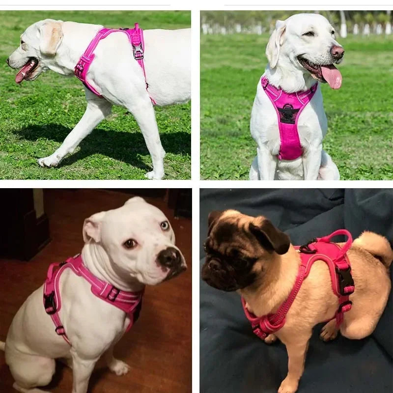 Reflective Adjustable Vest Harness for Dogs and Cats