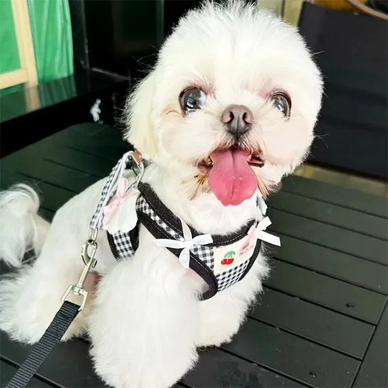 Ensemble harnais et collier en cuir de qualité supérieure pour chien