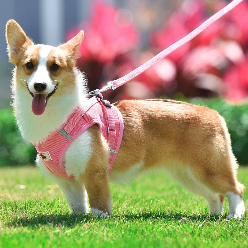 Reflective Mesh & Plaid Dog Vest Harness and Leash Set