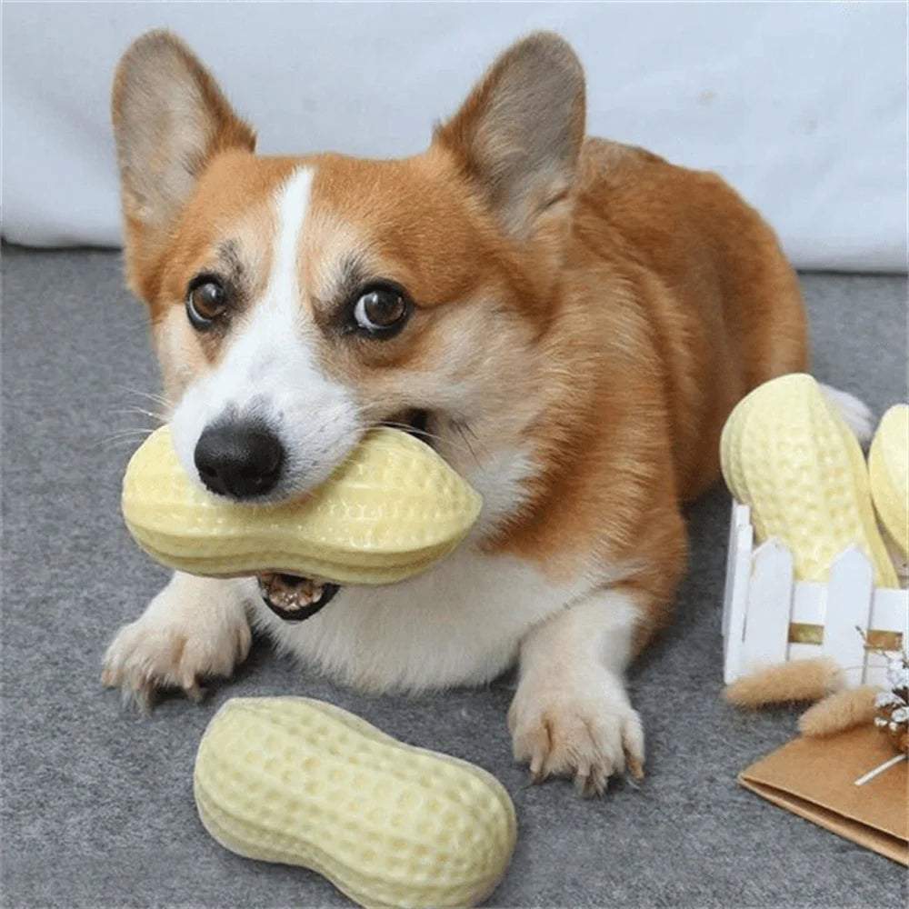 2Pcs/3Pcs Pet Chew Toys Fruit Vegetable Shapes with Squeaky for Small Medium Dogs Hot Sale Dog Accessories Juguetes Para Perros