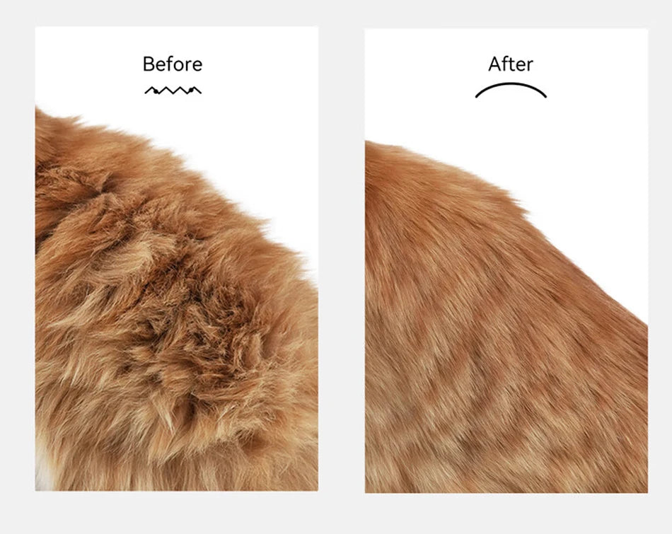 Brosse à vapeur pour poils d'animaux — Brosse de toilettage électrique pour chats et chiens