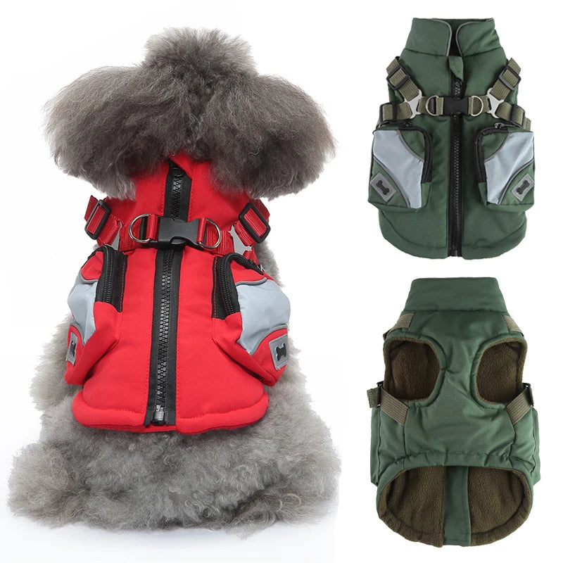 2-in-1 Dog Jacket & Harness with Pocket
