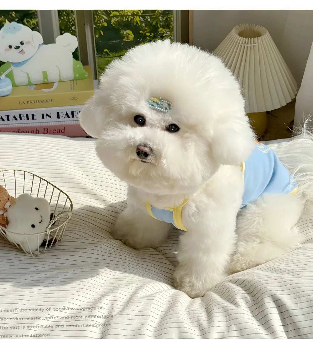Robe et gilet rafraîchissants 2 en 1 pour petits chiens et chats | Jupe d'été respirante "Princesse" pour Chihuahuas et chiots