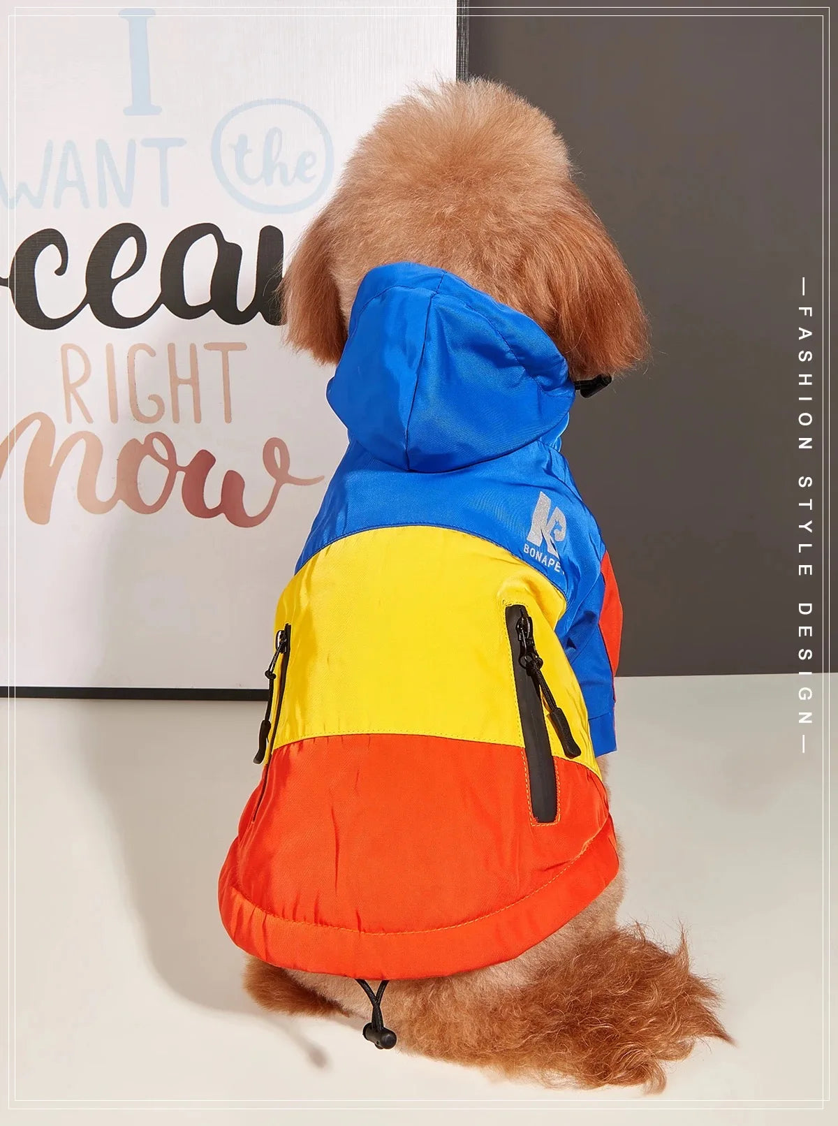 Waterproof Hooded Dog Raincoat & Sport Hoodie