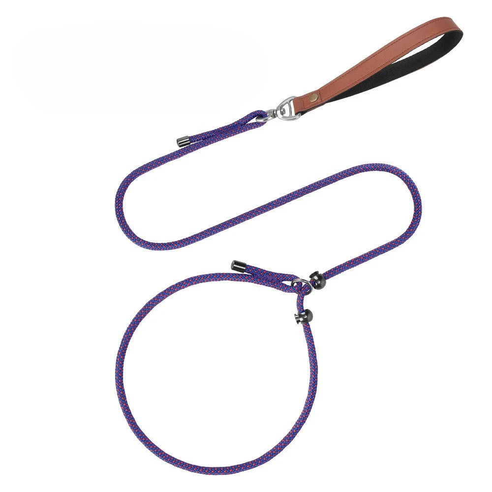 Laisse-collier étrangleur anti-nœuds réglable pour petits chiens
