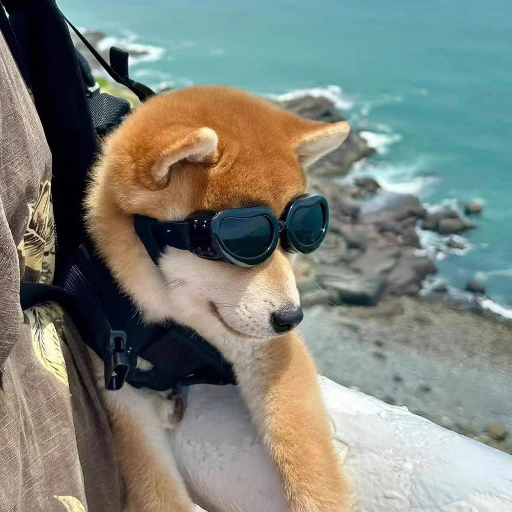 UV & Windproof Sunglasses Goggles for Small Dogs & Cats