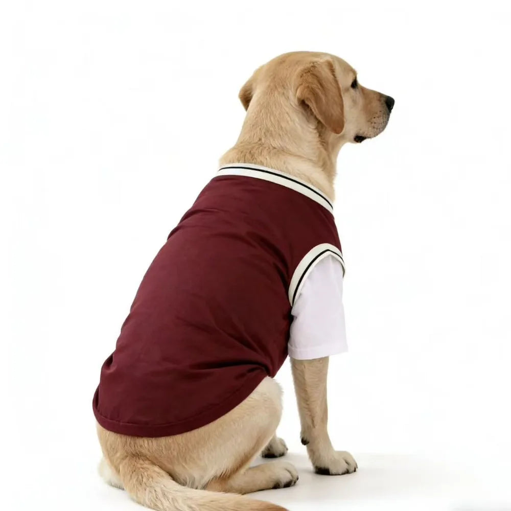 Gilet rafraîchissant en polyester respirant pour chiens | Haut d'été doux pour chiens de taille moyenne et grande
