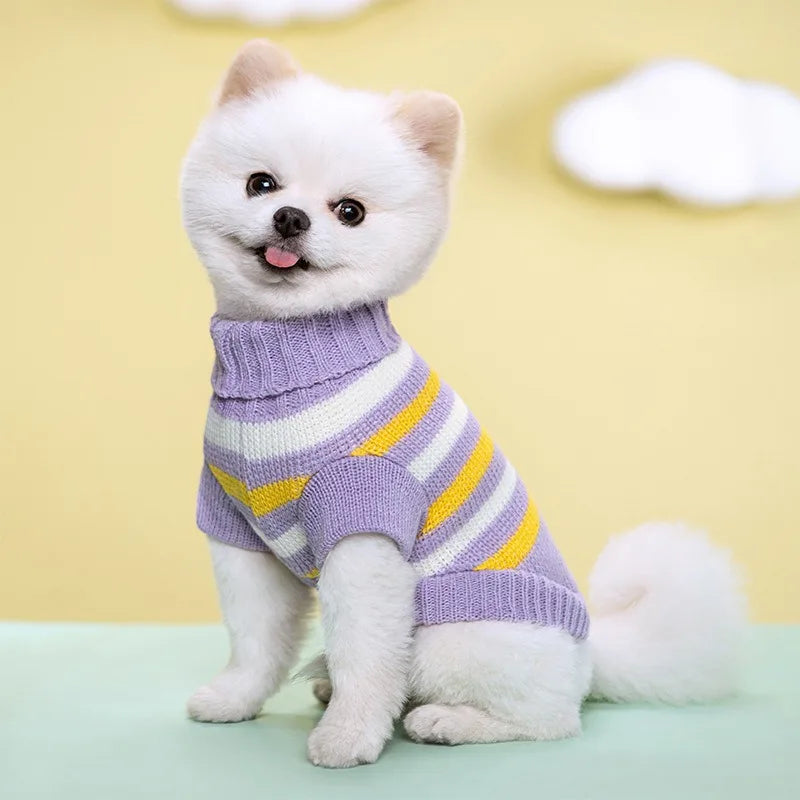 Colorful Knit Sweater for Small & Medium Dogs & Cats