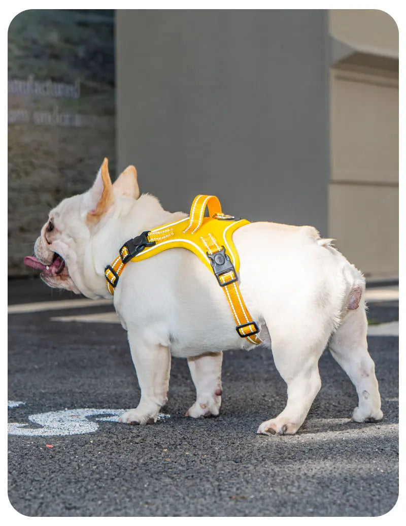 Ultra-Light Dog Harness Vest — Quick-Fit Saddle Design, No-Pull Chest Strap & Escape-Proof