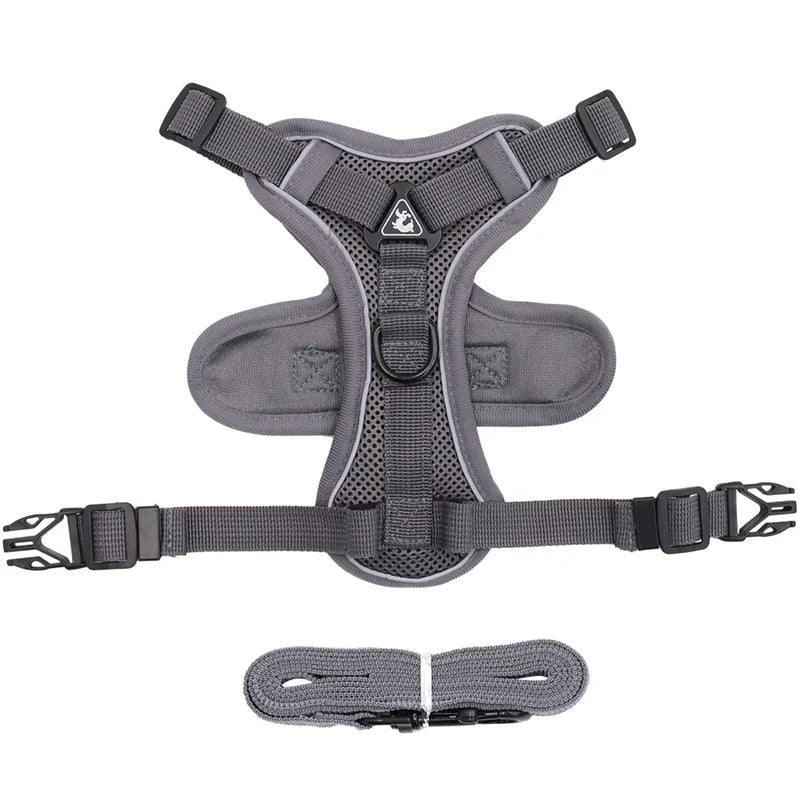 Reflective Mesh Cat & Dog Harness with Leash Set