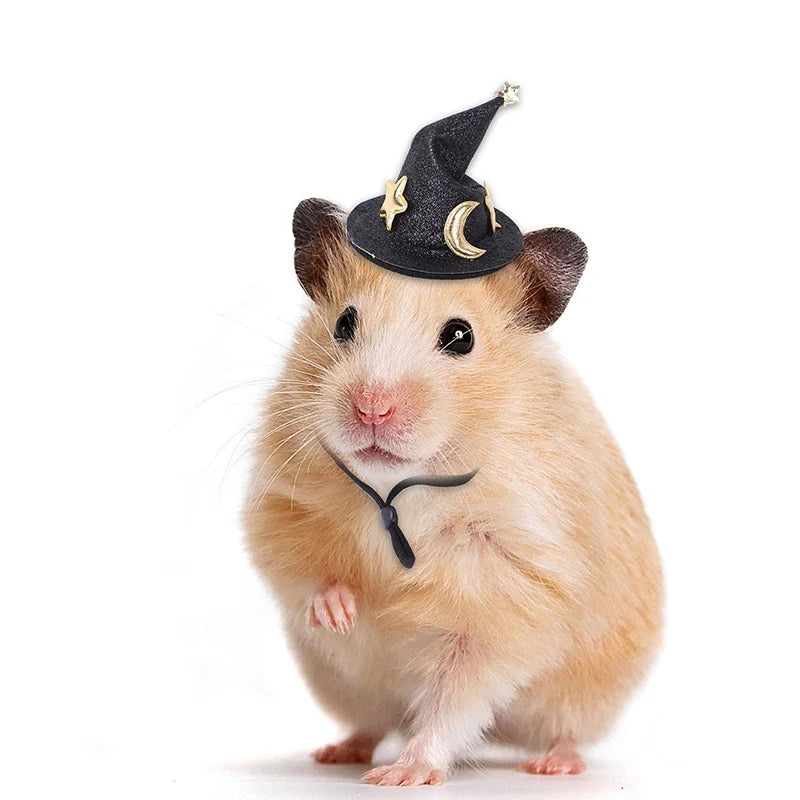 Adjustable Mini Party Hat for Hamsters, Rats & Guinea Pigs