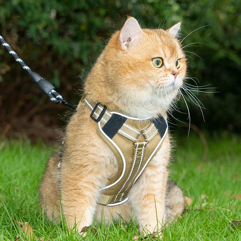 Escape-Proof Tactical Cat Harness — Soft Mesh Vest for Cats & Small Dogs