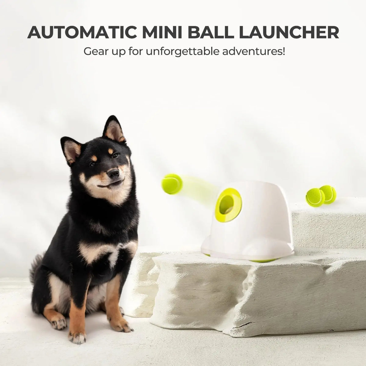 Automatic Mini Dog Ball Launcher