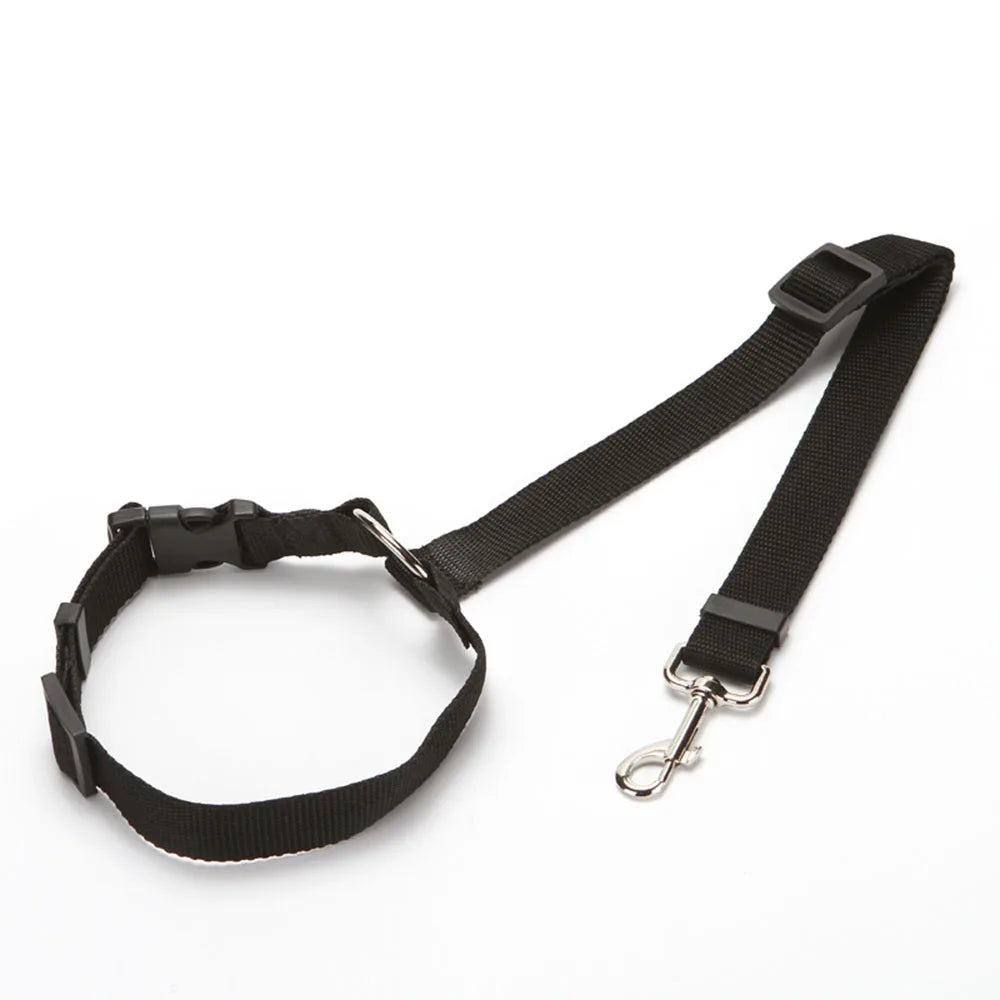 Harnais réglable et ceinture de sécurité pour chien