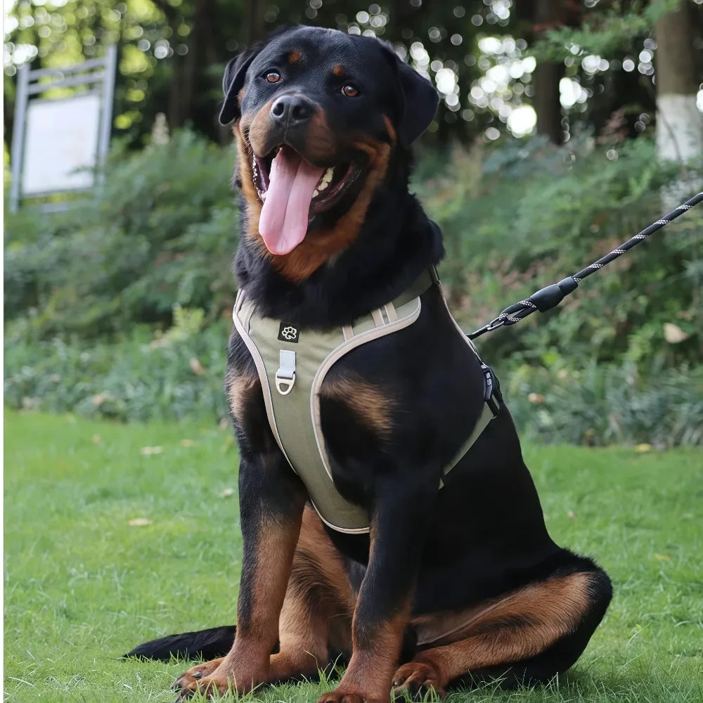 Reflective Tactical No-Pull Harness & Leash Set for Medium & Large Dogs