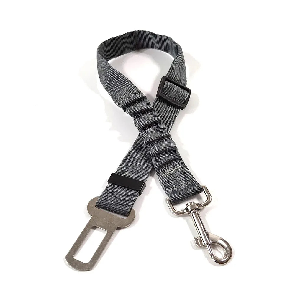 Ceinture de sécurité rétractable pour chien avec bande réfléchissante