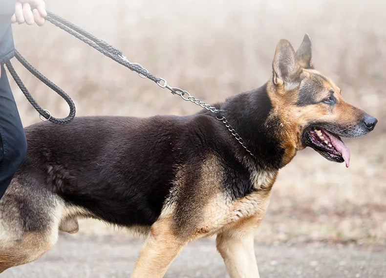 Large Dog Harness with Leash - Training Vest for Medium to Large Dogs