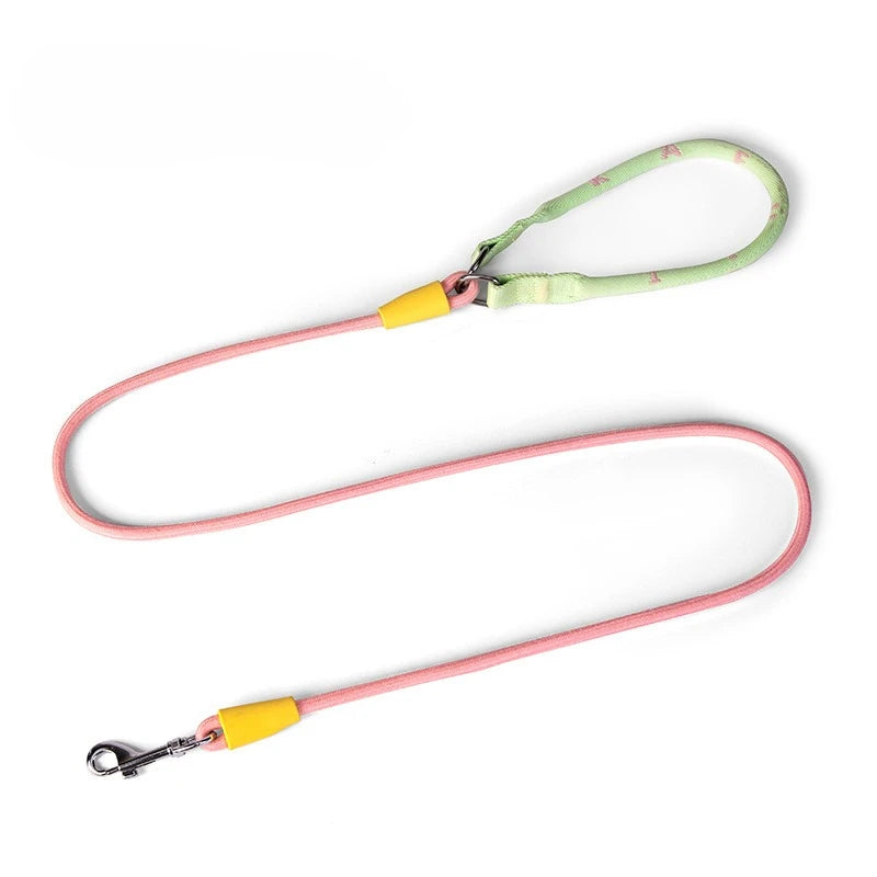 Laisse et collier combinés en nylon pour petits chiens