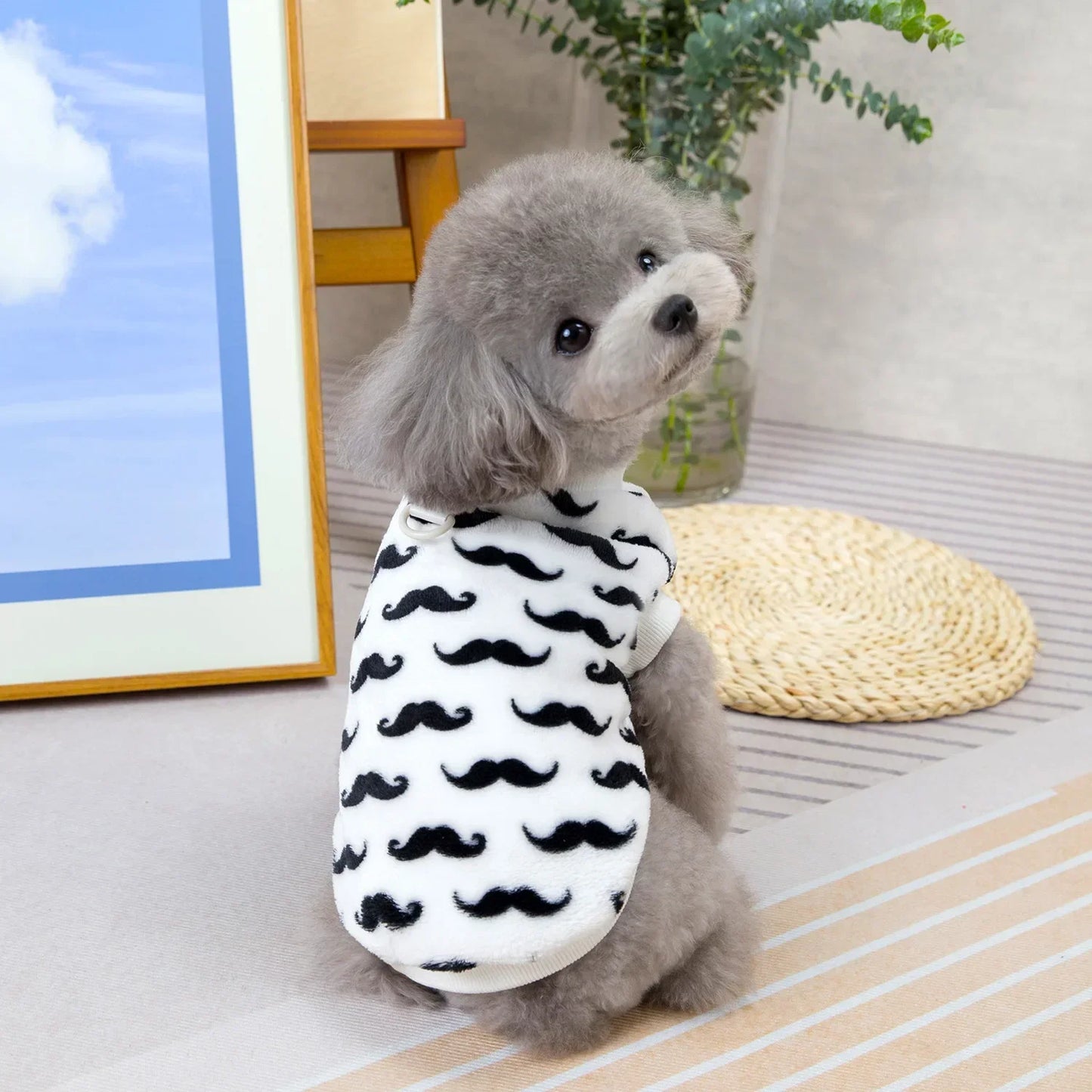 Warm Winter Dog Jacket