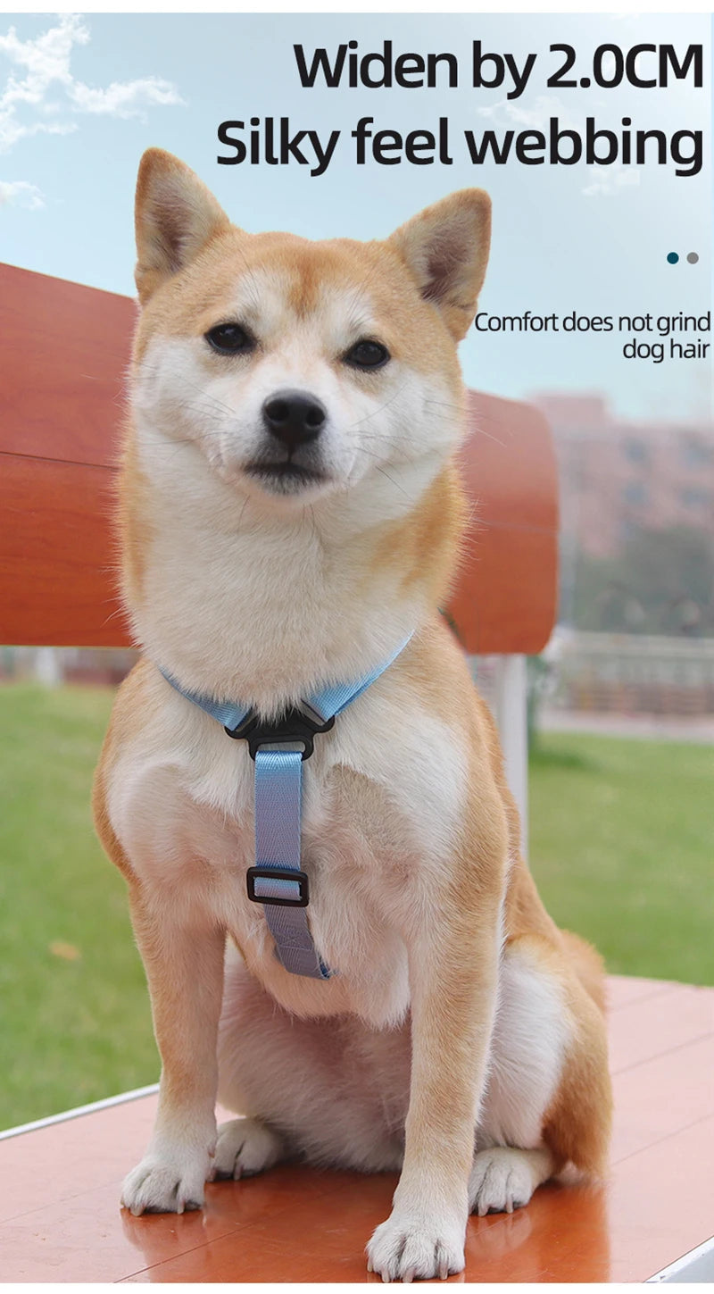Adjustable Dog Harness with Snack Bag Backpack