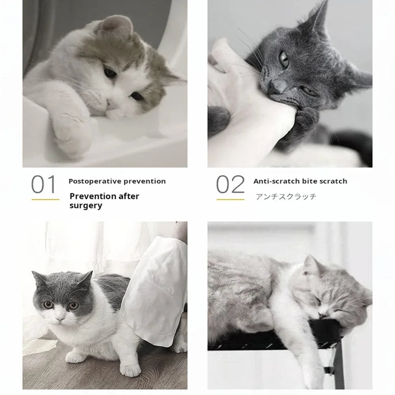 Collerette de protection tournesol – Cône élisabéthain en coton doux pour chats et chiens