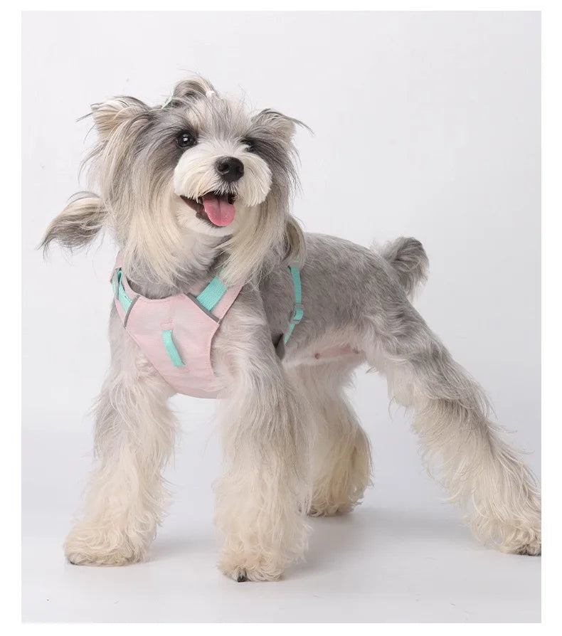 Lightweight No-Pull Reflective Dog & Cat Harness Vest