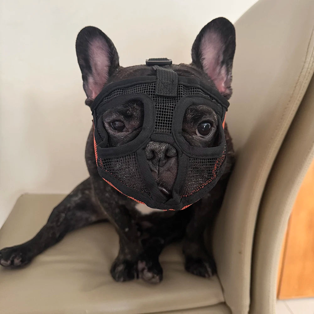 Breathable Mesh Dog Muzzle | Anti-Bite & Anti-Ingestion