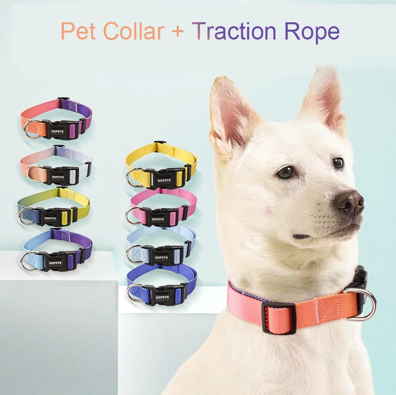 Ensemble laisse et collier réglables en nylon pour chiens - Pour petits et grands chiens