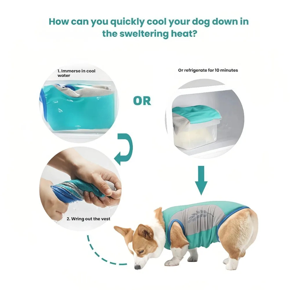 Reflective Cooling Vest for Dogs & Cats