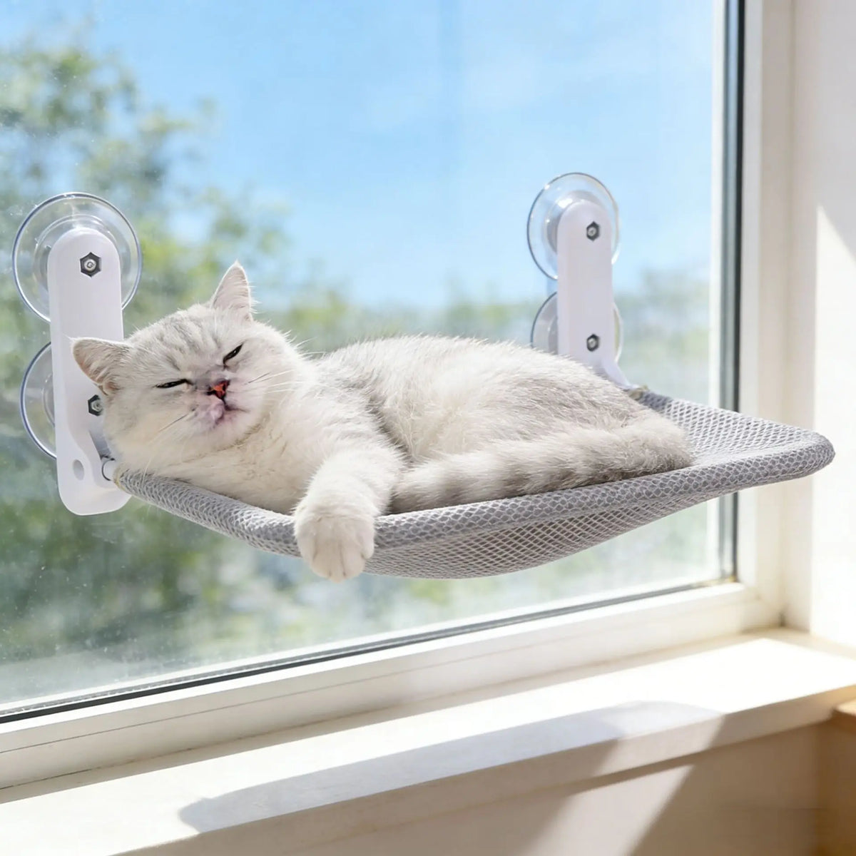 Window Cat Hammock – Suction Cup Sunbathing Cat Bed