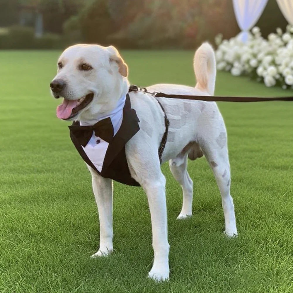 Tuxedo Dog Harness Vest with Bow Tie & D-Ring