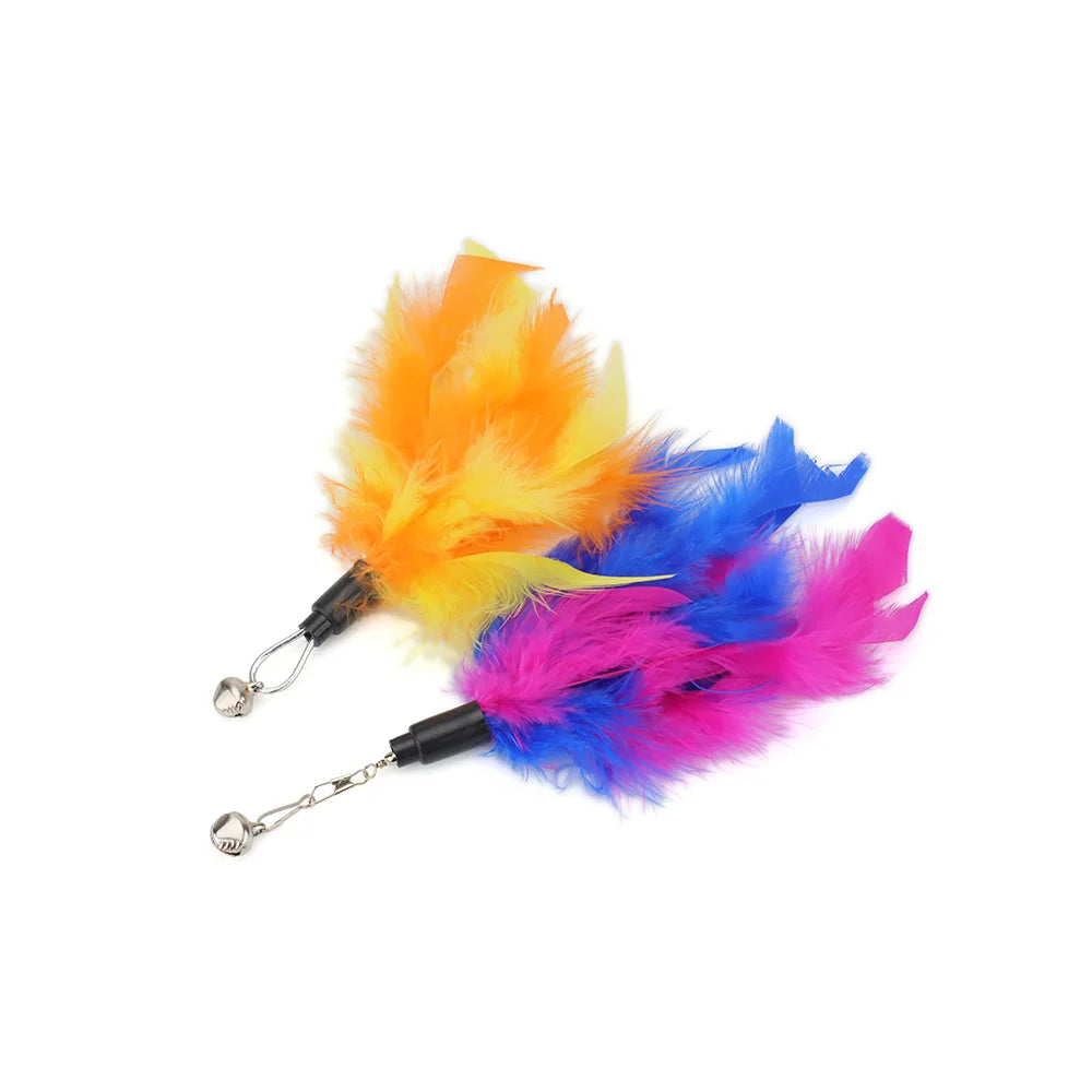 Bright Colour Feather Cat Teaser Replacement Pack (5 Pcs Random Mix)